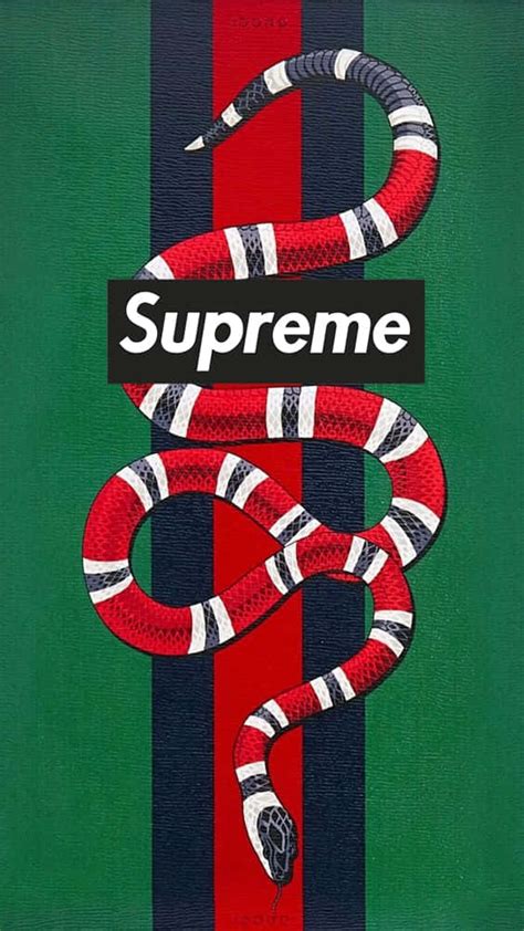 supreme wallpaper gucci|Supreme Gucci Wallpapers .